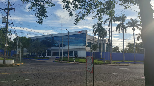 Library networks in Managua