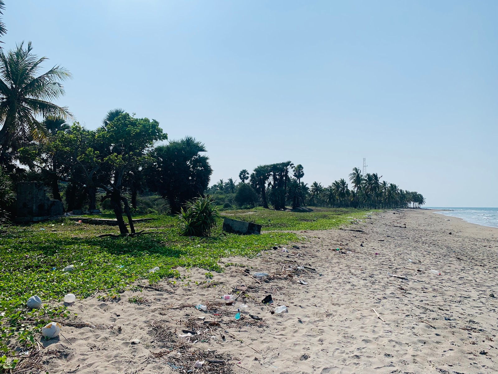 Photo of Kovalam Beach with long straight shore