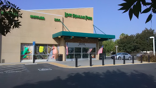 Pet Store «Lost Realms Pets», reviews and photos, 8059 N Cedar Ave, Fresno, CA 93720, USA