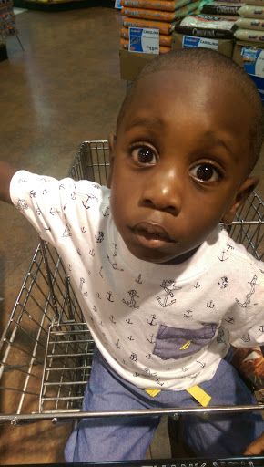 Grocery Store «Foodtown of Boston Road», reviews and photos, 3471 Boston Post Rd, Pelham, NY 10803, USA