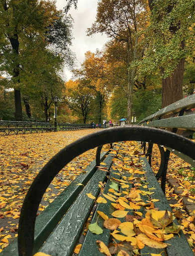 Park «Marcus Garvey Park», reviews and photos, 18 Mt Morris Park W, New York, NY 10027, USA