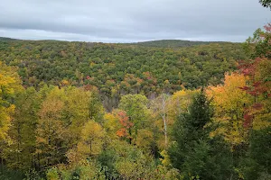 Susquehannock State Forest image
