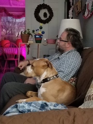 K-Heart Veterinary Clinic image