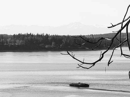 Golf Course «The Home Course», reviews and photos, Golf House Rd, DuPont, WA 98327, USA