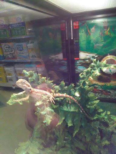 Pet Supply Store «Pet Supplies Plus», reviews and photos, 50633 Gratiot Ave, Chesterfield, MI 48051, USA