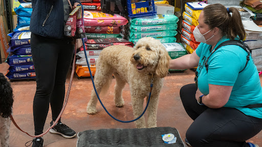 Pet Supply Store «Wags To Wiskers Pet Supplies», reviews and photos, 2423 W Stadium Blvd, Ann Arbor, MI 48103, USA