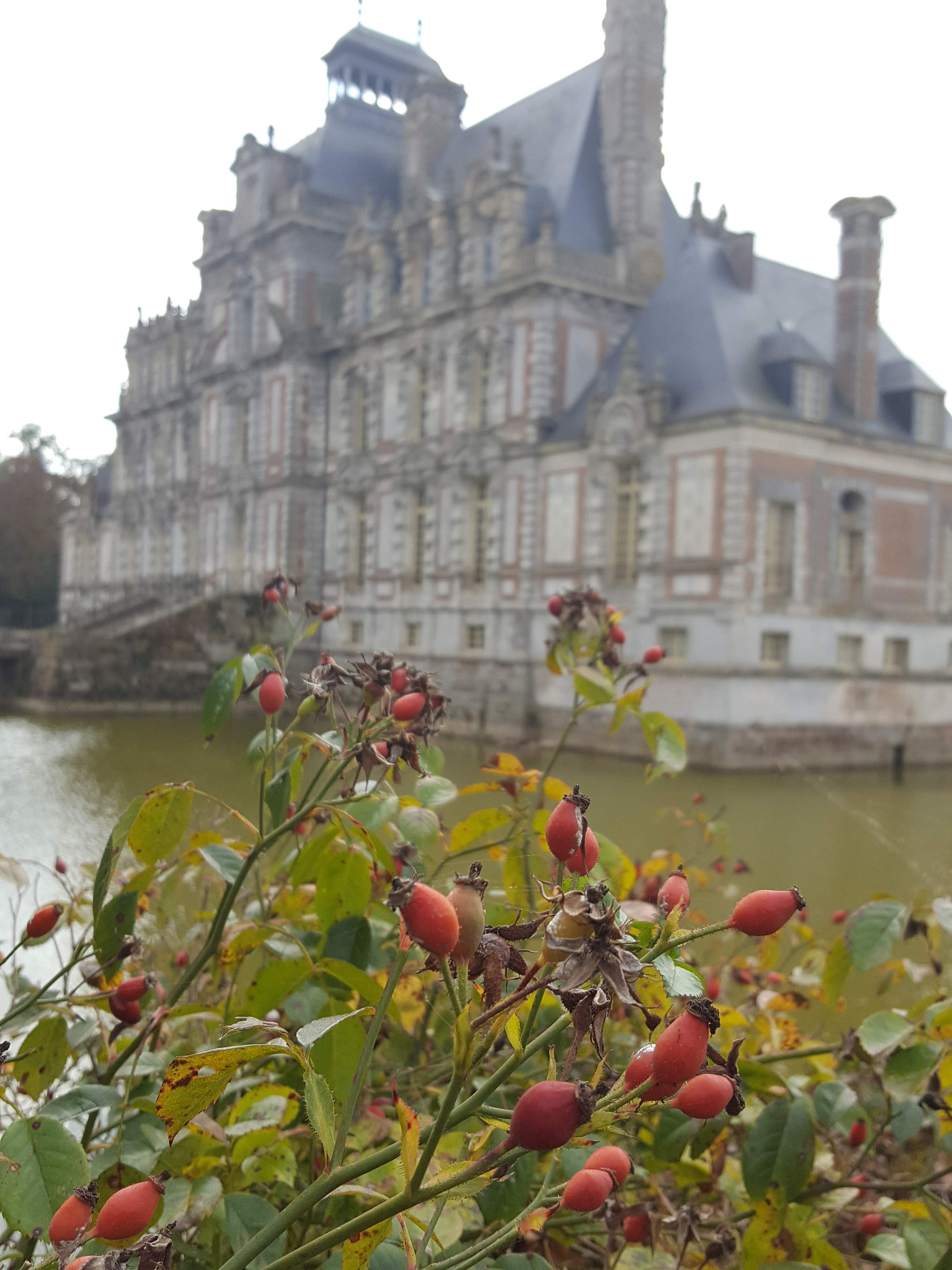 Photo n° 1 de l'avis de Alexandra.u fait le 30/10/2018 à 06:21