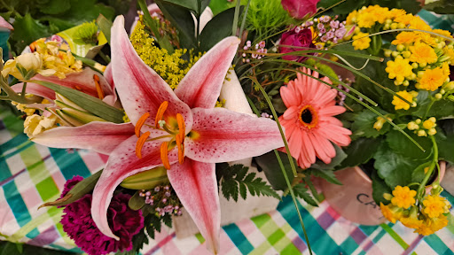 Grocery Store «Safeway», reviews and photos, 7301 Greenback Ln, Citrus Heights, CA 95621, USA