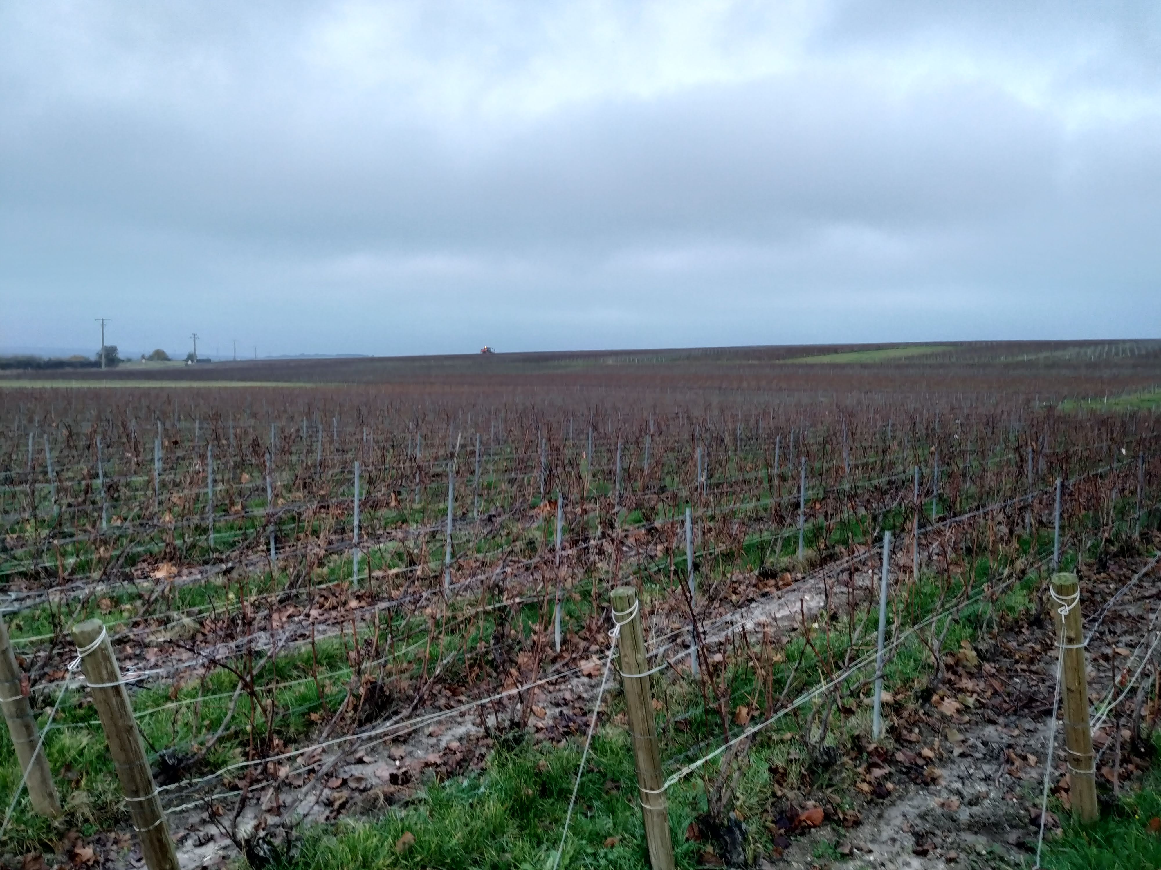 Photo n° 2 de l'avis de Matteo.a fait le 18/11/2021 à 18:05
