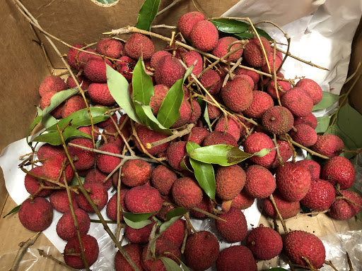 Supermarket «Phu Thinh Market», reviews and photos, 1826 Dorchester Ave, Dorchester Center, MA 02124, USA