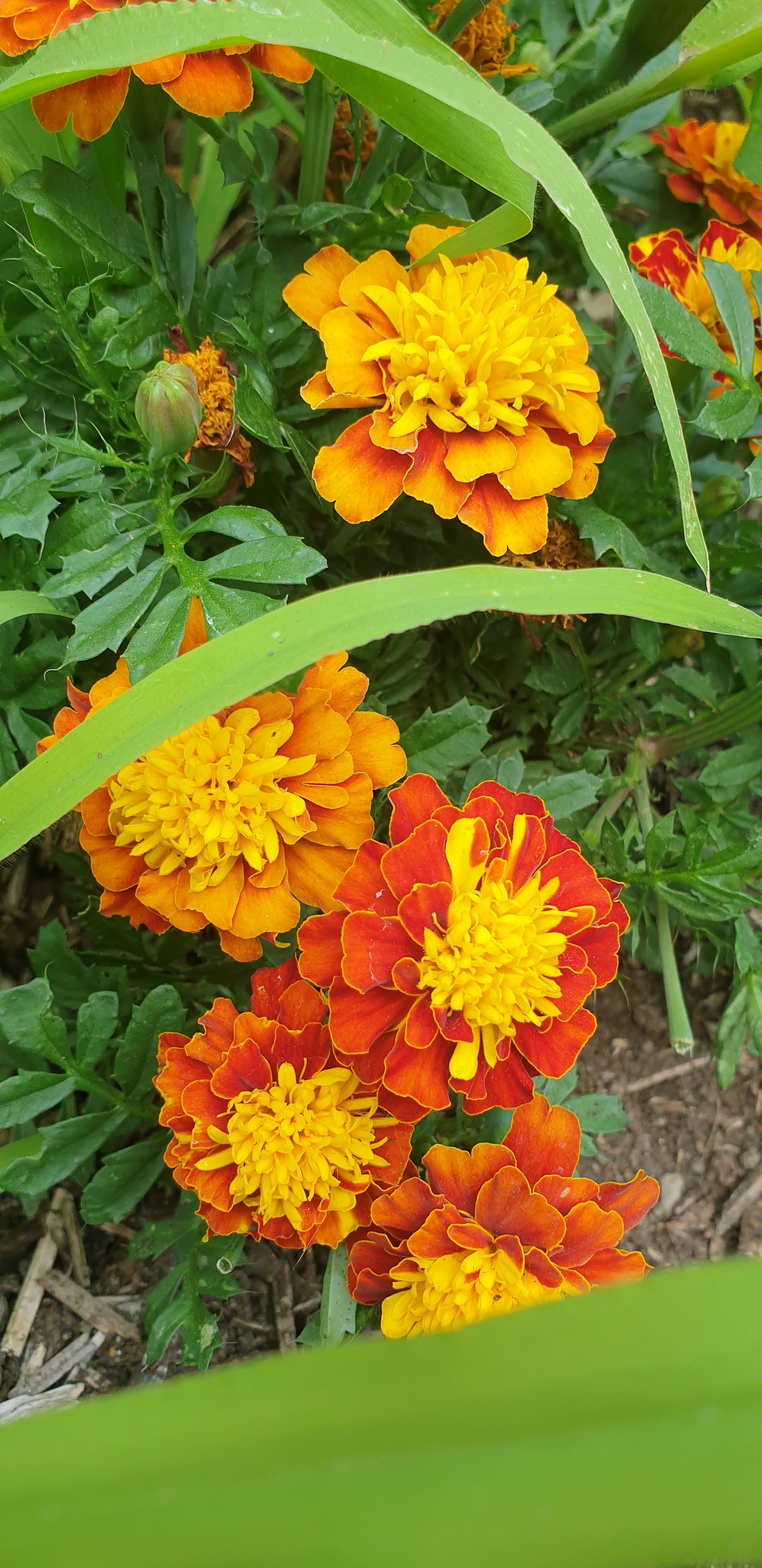 Photo n° 4 de l'avis de Marie.r fait le 31/07/2023 à 08:04