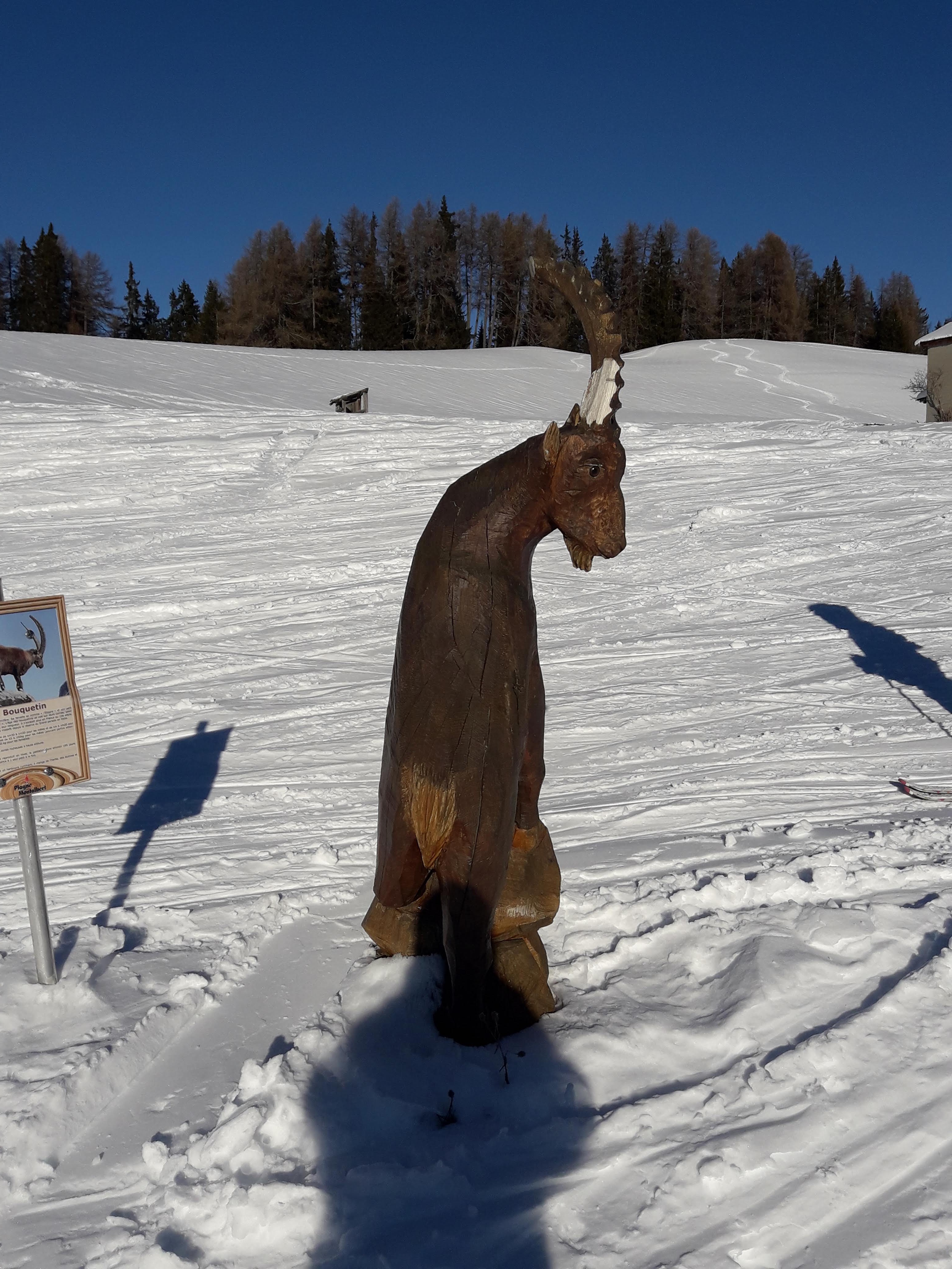 Photo n° 5 de l'avis de STANISLAV.A fait le 31/12/2019 à 07:32