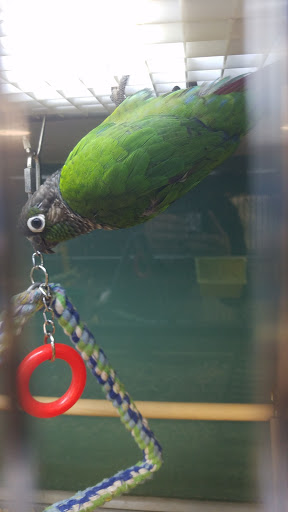 Pet Supply Store «Pet Supplies Plus», reviews and photos, 2155 Delaware Ave, Buffalo, NY 14216, USA