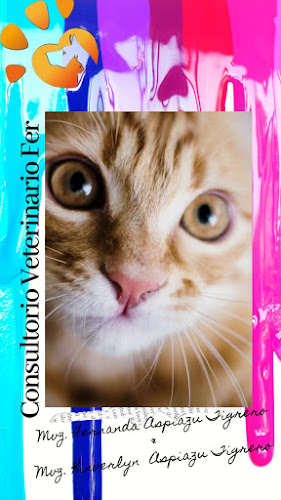 Comentarii opinii despre Consultorio Veterinario Fer