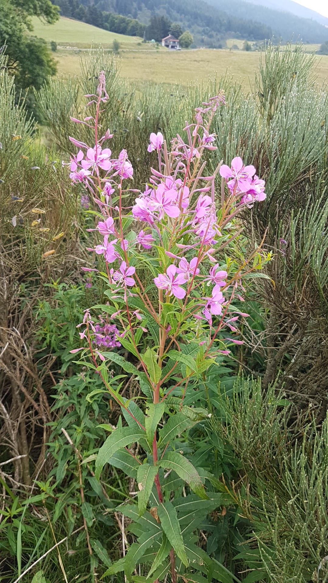 Photo n° 3 de l'avis de Nathalie.e fait le 01/08/2021 à 06:32