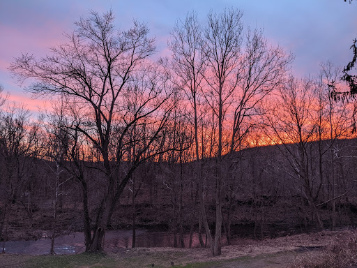 Vineyard «Torne Valley Vineyard», reviews and photos, 1 Torne Valley Rd, Hillburn, NY 10931, USA