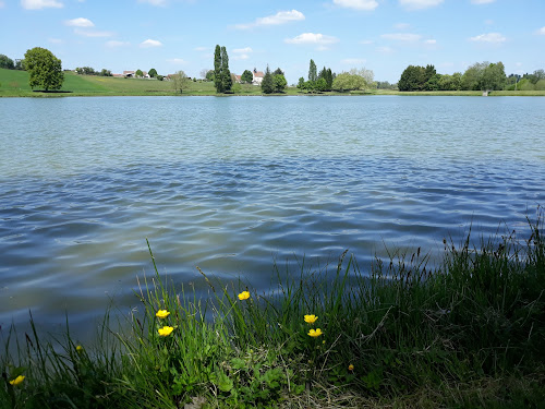 Plan d'eau de la Chaillance à Faverdines