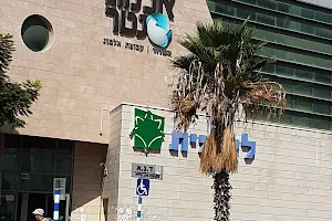 מרכז אלמוג image