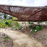 Photo n° 14 de l'avis de Florent.a fait le 03/08/2023 à 06:55 pour Le Potager Extraordinaire à La Roche-sur-Yon