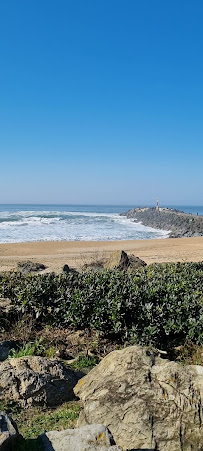 Les plus récentes photos du Café L'Épi Café à Anglet - n°2