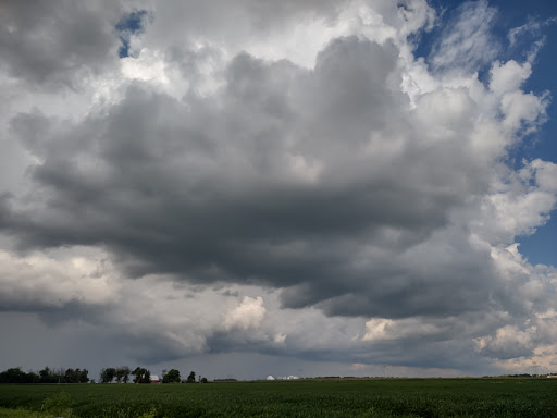 Nature Preserve «Meltzer Woods», reviews and photos, 1522 S 600 E, Shelbyville, IN 46176, USA