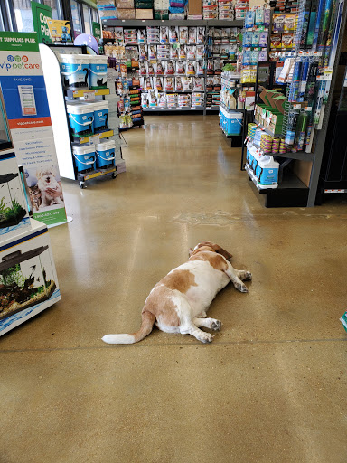 Pet Supply Store «Pet Supplies Plus», reviews and photos, 8175 Sheridan Blvd a, Arvada, CO 80003, USA