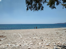 Zdjęcie Marmara beach - popularne miejsce wśród znawców relaksu