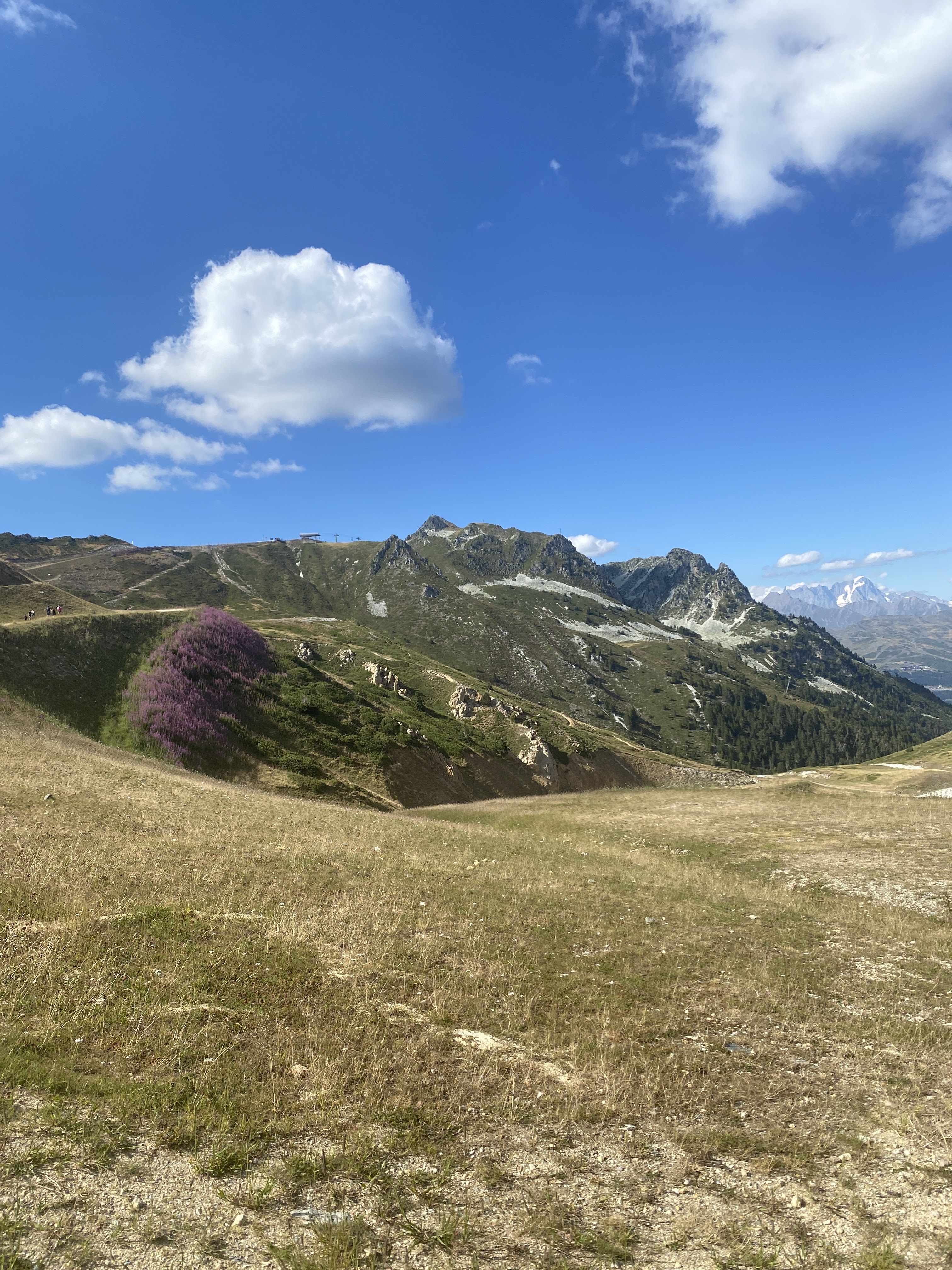 Photo n° 2 de l'avis de Francis.e fait le 22/08/2022 à 10:30