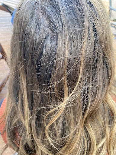 Beauty Salon «Brian Leslie Salon», reviews and photos, 102 W Jefferson St, Franklin, IN 46131, USA