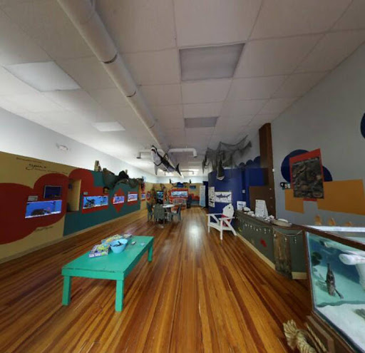 Aquarium «Team ECCO Ocean Center & Aquarium», reviews and photos, 511 N Main St, Hendersonville, NC 28792, USA