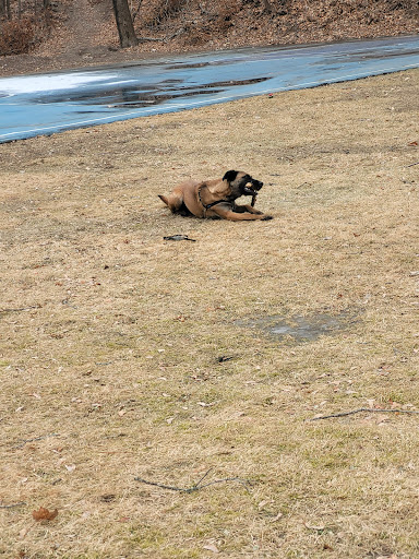 Park «Pickman Park», reviews and photos, 20 Lincoln Rd, Salem, MA 01970, USA