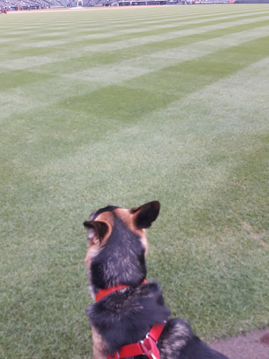 Stadium «Coors Field», reviews and photos, 2001 Blake St, Denver, CO 80205, USA
