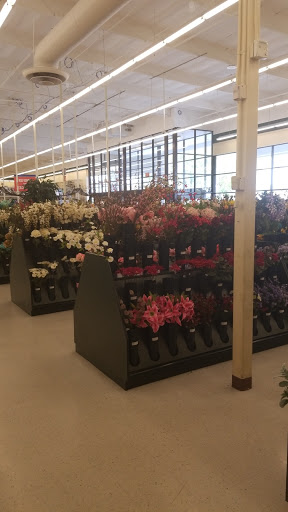 Craft Store «Hobby Lobby», reviews and photos, 2301 N Rose Ave, Oxnard, CA 93036, USA