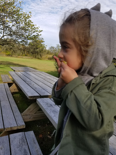 Gourmet Grocery Store «Max Hansen Carversville Grocery», reviews and photos, 6208 Fleecy Dale Rd, Carversville, PA 18913, USA