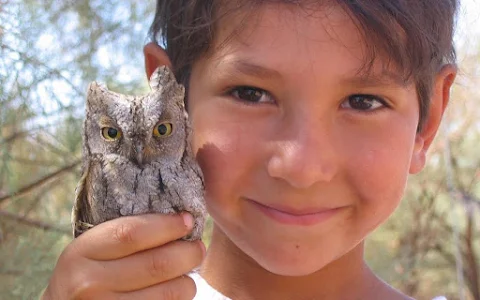 Eilat Ornithological Park image