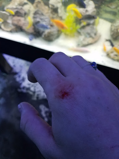 Pet Store «Pet Land», reviews and photos, 1450 Fort Campbell Blvd, Clarksville, TN 37042, USA