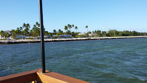 Nature Preserve «Big Cypress National Preserve», reviews and photos