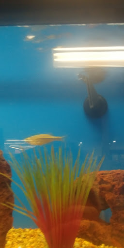 Pet Supply Store «Petco Animal Supplies», reviews and photos, 8775 SW Tualatin-Sherwood Rd, Tualatin, OR 97062, USA