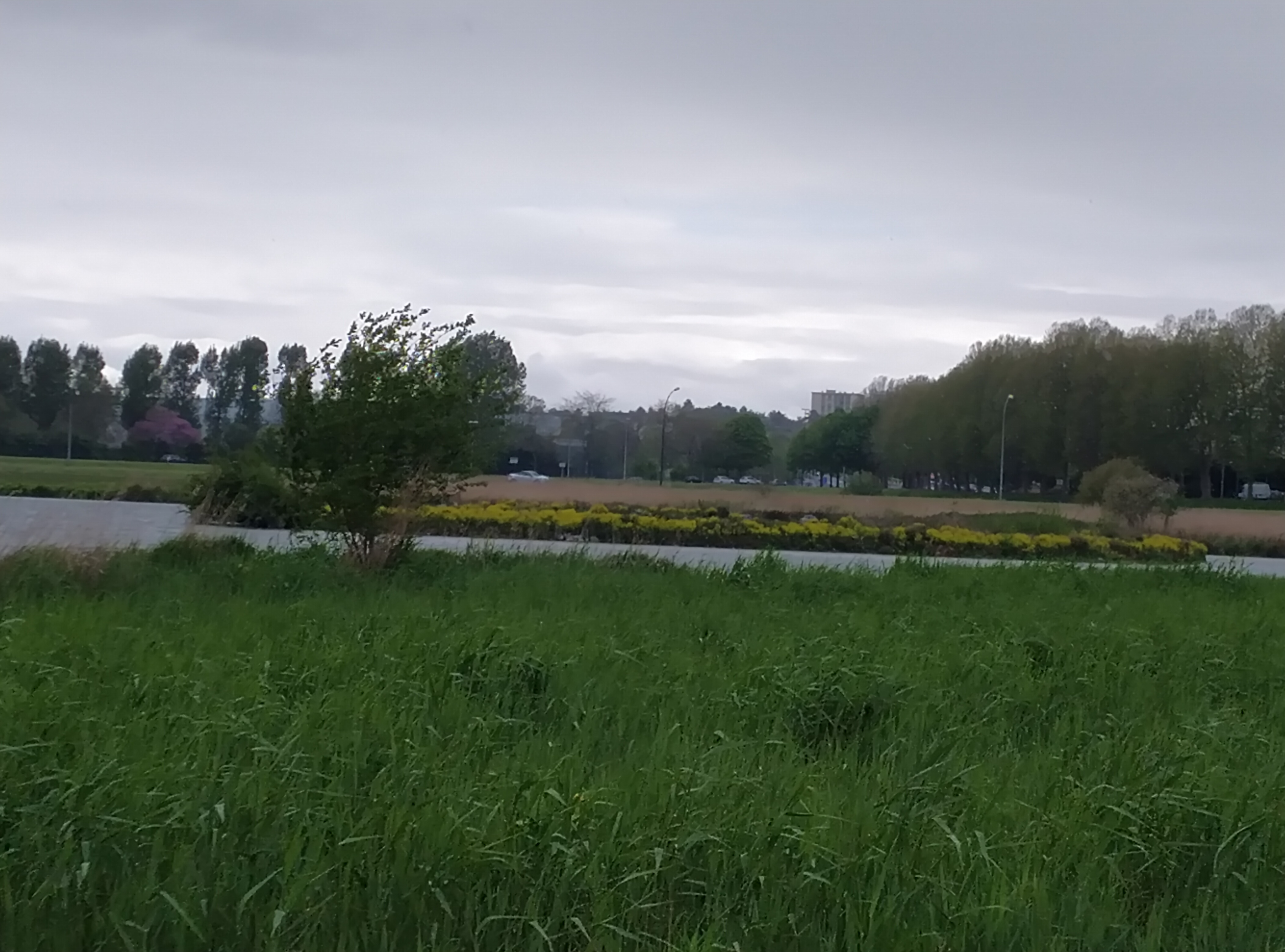 Photo n° 5 de l'avis de Fabrice.a fait le 13/05/2021 à 16:36