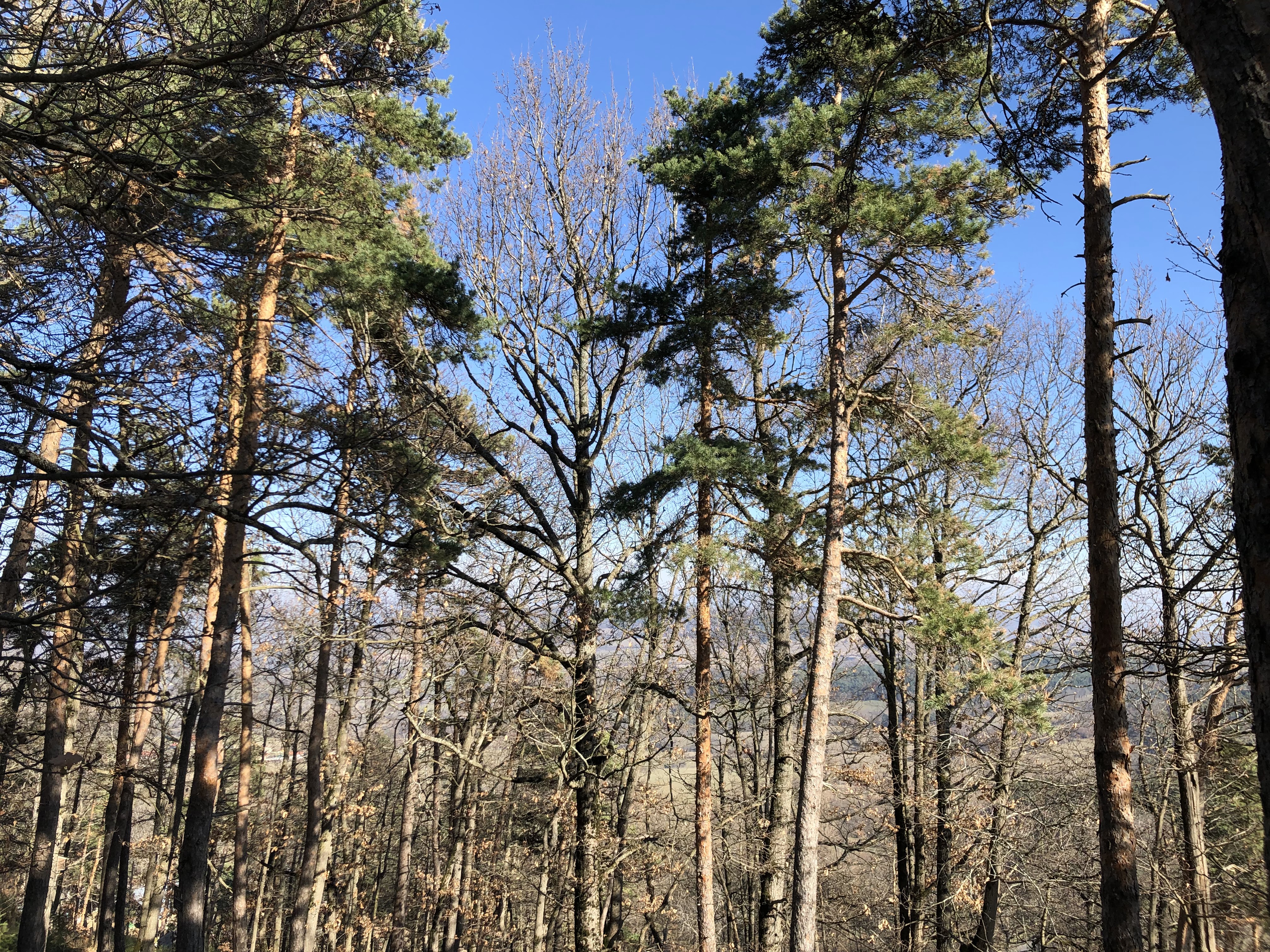 Photo n° 2 de l'avis de Romain. fait le 19/01/2020 à 12:09