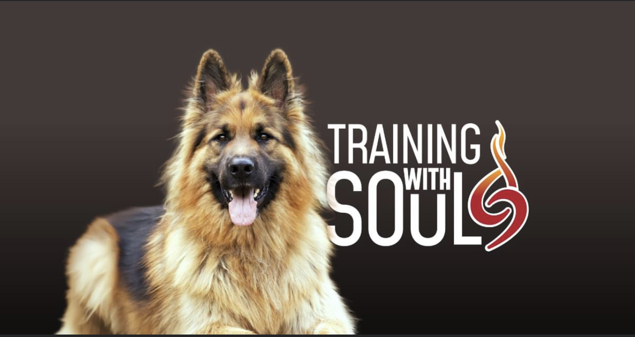 Canine Connection Training