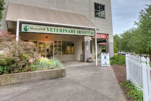 VCA Murrayhill Veterinary Hospital image