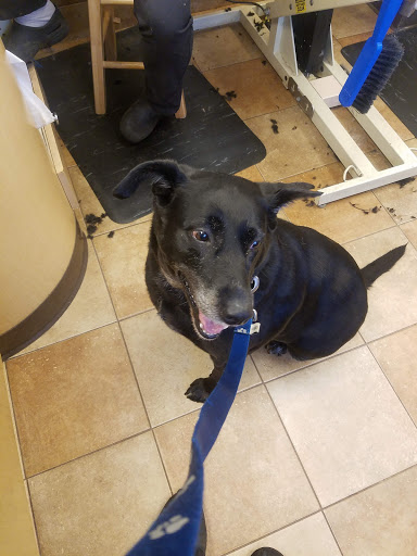 Pet Supply Store «PetSmart», reviews and photos, 2216 E Springs Dr, Madison, WI 53704, USA