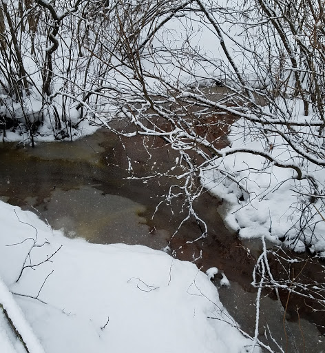 Nature Preserve «Dolan Pond Conservation Area», reviews and photos, Webster Park, West Newton, MA 02465, USA