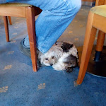 Photo n°10 de l'avis de Isabella.s fait le 01/11/2018 à 05:29 sur le  Café Feldmann & Pension à Bad Sooden-Allendorf