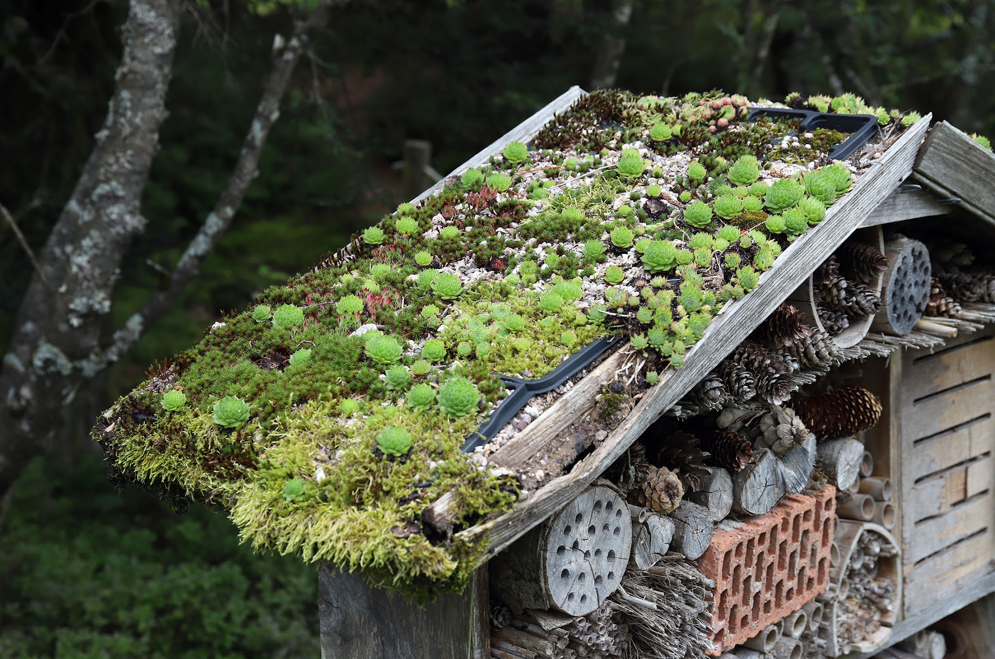 Photo n° 10 de l'avis de Hervé.E fait le 11/09/2020 à 06:16