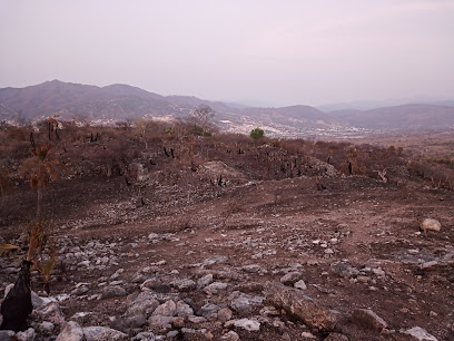 Zona Arqueológica Texcalco