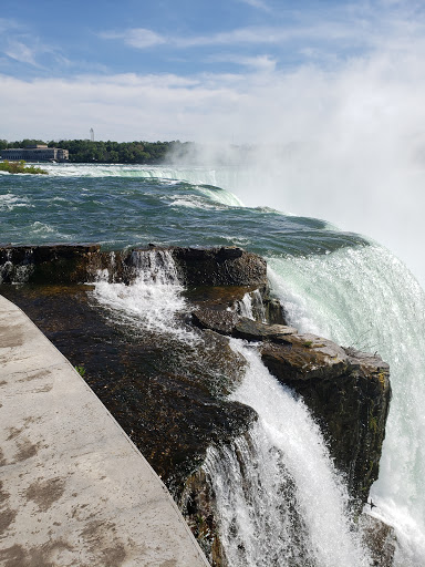 Aquarium «Aquarium of Niagara», reviews and photos, 701 Whirlpool St, Niagara Falls, NY 14301, USA