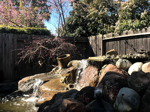 Koi Enterprise image