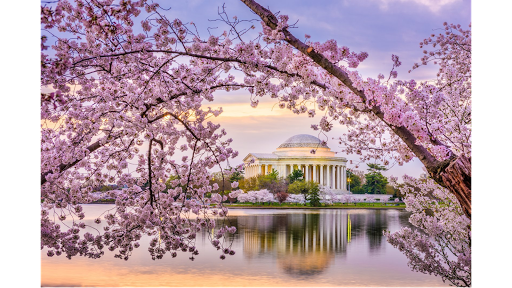 727 15th St NW #210, Washington, DC 20005, USA